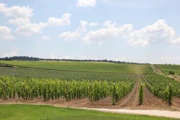 בית מלון כפרי Agriturismo Poggio Al Tufo