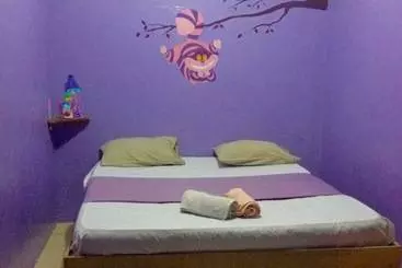 تختخواب و صبحانه Wonderland