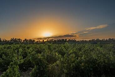 Hotel wiejski Agriturismo Casale Degli Ulivi Alghero