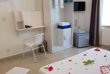 Pensiune Alesara Guest House