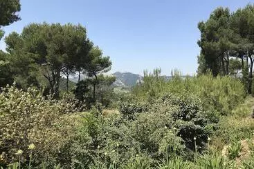 B&b L Aube Safran