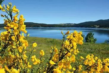 Huoneistohotelli Lorica Suite Lago