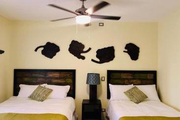 בית מלון כפרי Tekapa