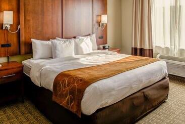 Hôtel Comfort Suites Georgetown