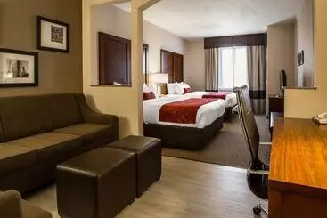 ホテル Comfort Suites Stafford Near Sugarland