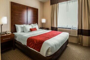 Hotel Comfort Suites Stafford Near Sugarland