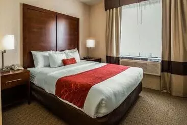 Hotel Comfort Suites Stafford Near Sugarland