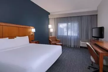 ホテル Courtyard Tampa North/i75 Fletcher