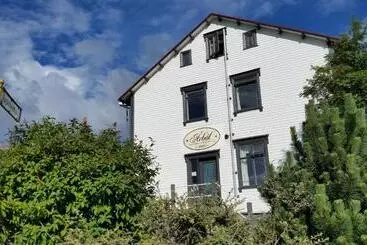 Pensión Arbol Guesthouse