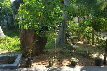 پانسیون River Point Cabana