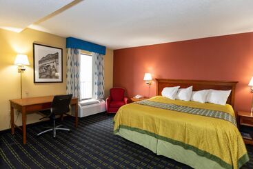 Отель Shelby Inn