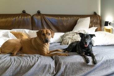 酒店 Moxy Memphis Downtown