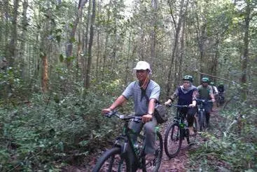 ホテル Borneo Escape  Eco Village