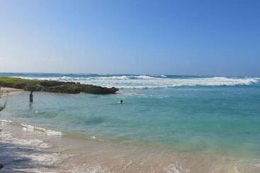 Gemini House Bed & Breakfast