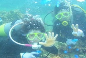 Quinta ou Casa Rural Fukugi Terrace