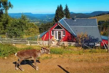 Bed and Breakfast Chambres D Hôtes La Petite Finlande