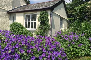 Bed and Breakfast Higher Searles Down