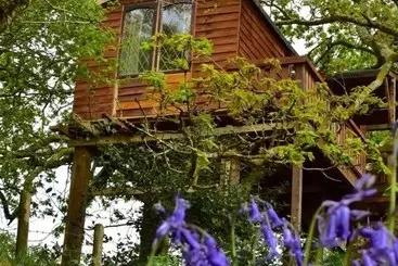 Maison Green Cart Farm