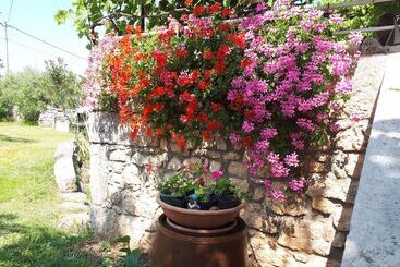 آپارتمان‌های توریست‌ها Apartment Sabina & Grapes