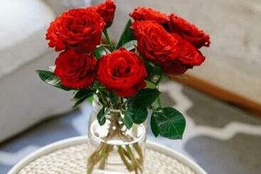 Apartamentos turísticos Mini Loft   Parking Gratuit