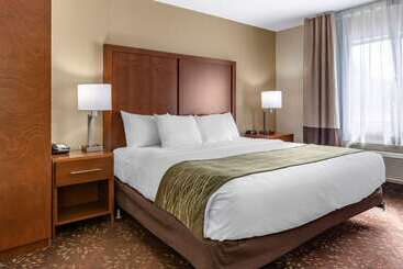 בית מלון כפרי Comfort Inn Okemos  East Lansing