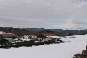 Apartamentos turísticos Ferienwohnung Max Riedl