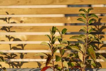 דירות לתיירים Maryflower Premium Apartments Piraeus