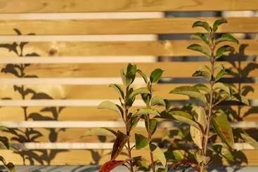 Turistlejligheder Maryflower Premium Apartments Piraeus