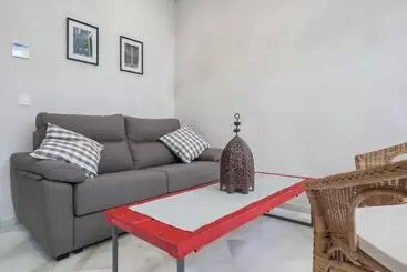 Turistihuoneistot Casas De Sevilla   Apartamentos Tintes12