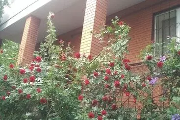 Guest House On Griboedovsky 27a   Hostel