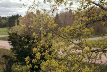 شقق خاصة سياحية Seagull Bay Motel