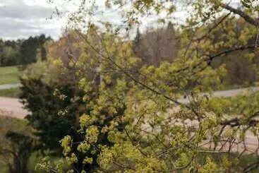 ツーリストアパートメント Seagull Bay Motel