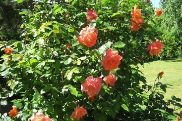 Armonía Y Naturaleza B&b Hostería Exclusiva