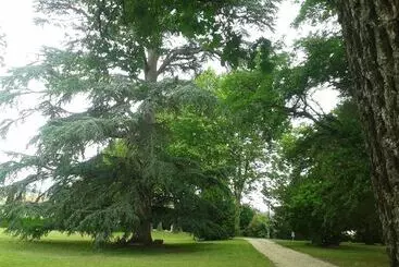 ホテル Château Marith