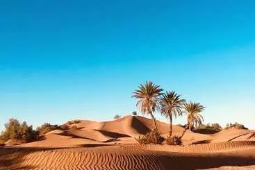 ホテル The Palm Grove