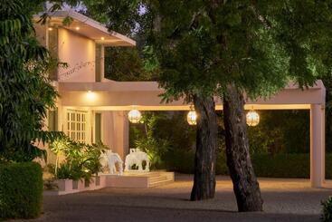 بنسيون Rose Amer