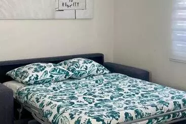 The Palm Leaf Apartments