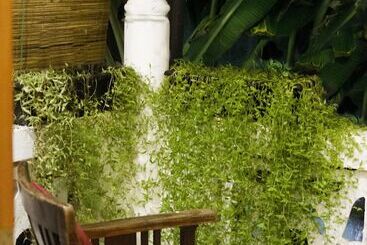 پانسیون Citystop