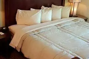 Otel Marvin S Garden Inn