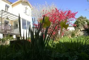 Bed and Breakfast L'agapanthe