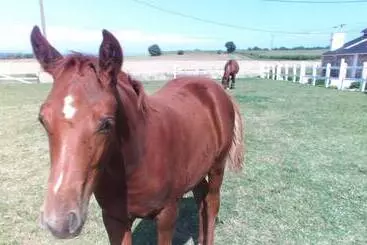 Bed and Breakfast La Vieux Ville