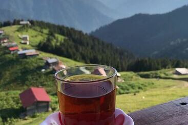 بنسيون Pokut Inn