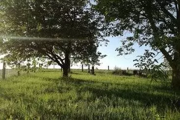 Tourist flats Haus Hutzelbuck