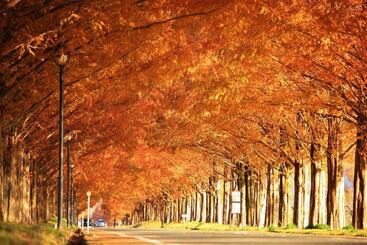 酒店 Imazu Sun Bridge