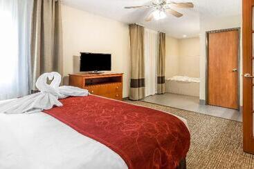 هتل Comfort Suites North Dallas