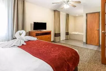 Отель Comfort Suites North Dallas