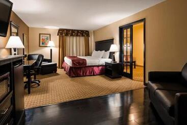 酒店 Best Western Saluki Inn