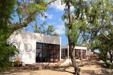 Bed and Breakfast Liquid Dive Adventures