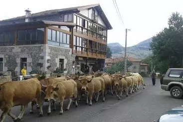 Bed & Breakfast Posada El Mirador