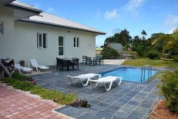 Pensión The Olive Tree